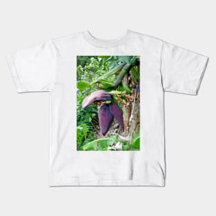 Iao Valley State Monument Study 7 Kids T-Shirt